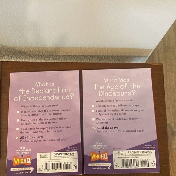 History Chapter books excellent condition 💕💕 - Picture 8 of 11